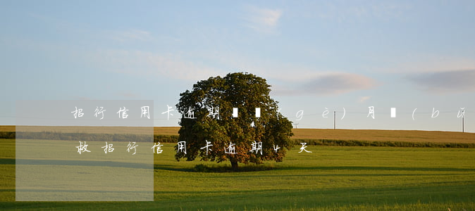招行信用卡逾期兩個(gè)月補(bǔ)救(招行信用卡 逾期4天)