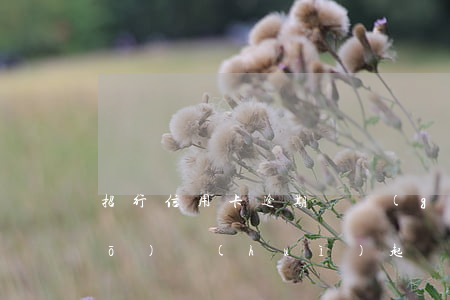 招行信用卡逾期兩個(gè)月,說(shuō)會(huì)起訴聯(lián)系家里-招行信用卡逾期兩個(gè)月,說(shuō)會(huì)起訴聯(lián)系家里人嗎