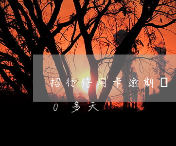 招行信用卡逾期兩個月了(招行信用卡逾期20多天)