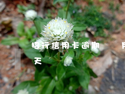 招行信用卡逾期兩個月了(招行信用卡逾期4天)