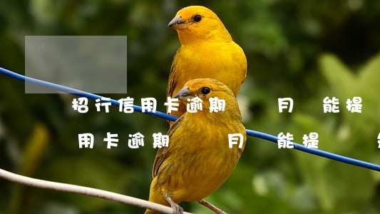 招行信用卡逾期兩個月還能提額嗎-招行信用卡逾期兩個月還能提額嗎知乎