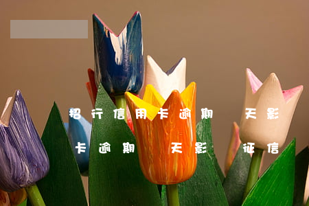招行信用卡逾期兩天影響征信嗎-招行信用卡逾期兩天影響征信嗎怎么辦