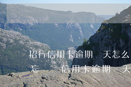 招行信用卡逾期兩天怎么補(bǔ)救(招行忘記還信用卡逾期幾天會有不良記錄嗎)