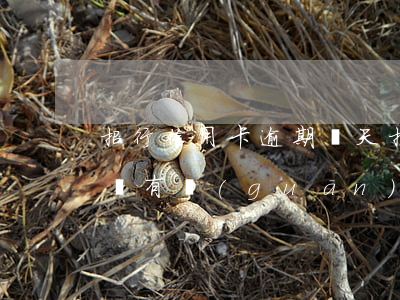 招行信用卡逾期兩天（招商信用卡逾期一天有沒有關(guān)系）
