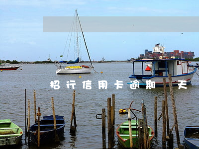招行信用卡逾期兩天會上征信
