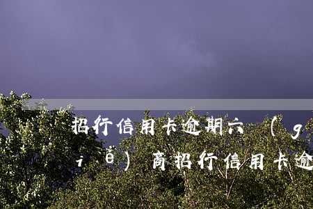 招行信用卡逾期六個(gè)月怎么協(xié)商(招行信用卡逾期六個(gè)月怎么協(xié)商還款)