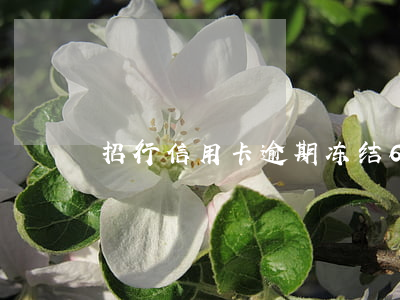 招行信用卡逾期冻结6