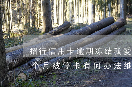招行信用卡逾期冻结我爱卡(招商银行逾期一个月被停卡有何办法继续使用)