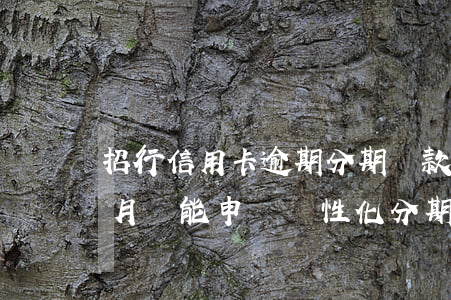 招行信用卡逾期分期還款(招商銀行逾期4個月還能申請個性化分期嗎)