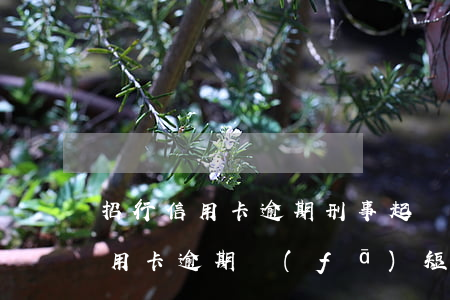 招行信用卡逾期刑事起訴(有被招商銀行因信用卡逾期發(fā)短信說起訴的)