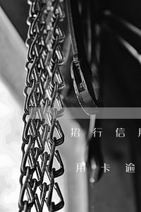 招行信用卡逾期利息太高了怎么辦-招行信用卡逾期利息太高了怎么辦啊