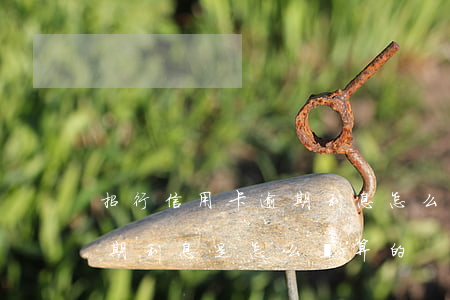 招行信用卡逾期利息怎么算(銀行的信用卡逾期利息是怎么計算的)