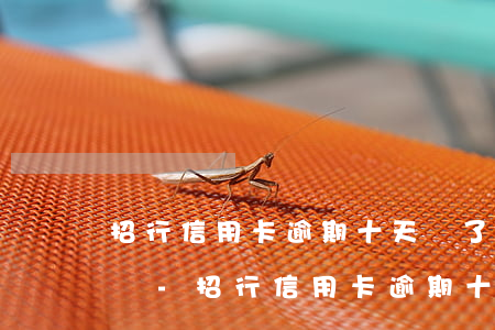 招行信用卡逾期十天還了會(huì)怎么樣-招行信用卡逾期十天還了會(huì)怎么樣嗎