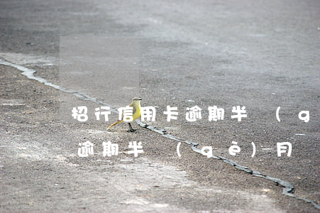 招行信用卡逾期半個(gè)月(招行信用卡逾期半個(gè)月會(huì)怎樣)