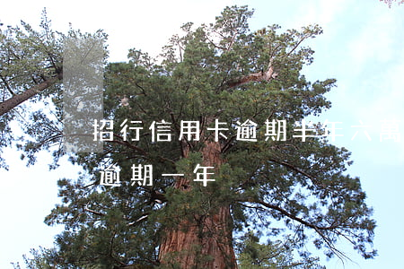 招行信用卡逾期半年六萬(招行信用卡4萬7逾期一年)