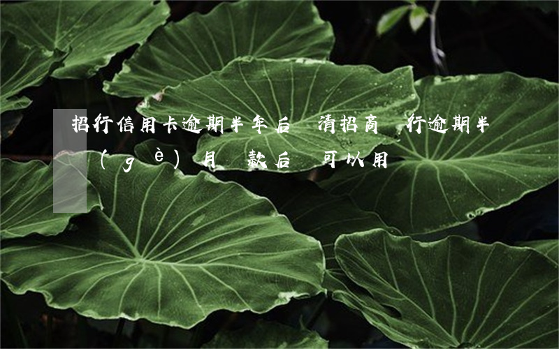 招行信用卡逾期半年后還清(招商銀行逾期半個(gè)月還款后還可以用嗎)