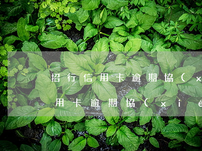 招行信用卡逾期協(xié)商成功(招行信用卡逾期協(xié)商電話是多少)