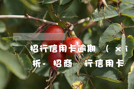 招行信用卡逾期協(xié)商成功案例分析-招商銀行信用卡 協(xié)商