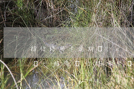 招行信用卡逾期協(xié)商成功案例視頻-招商銀行信用卡 協(xié)商