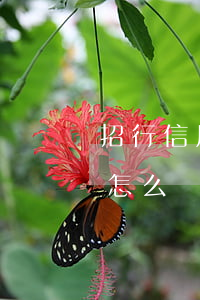 招行信用卡逾期協(xié)商還款不同意怎么辦-招行信用卡逾期協(xié)商還款不同意怎么辦呢