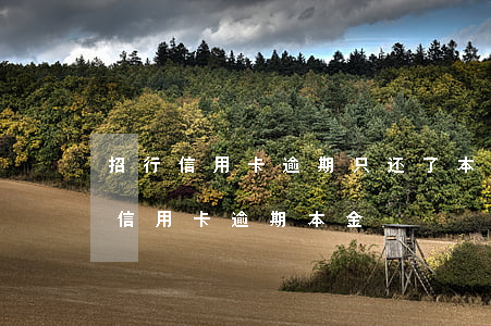 招行信用卡逾期只还了本金(怎么查招商银行信用卡逾期本金)