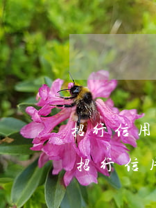 招行信用卡逾期可以辦理同行的儲蓄卡嗎-招行信用卡逾期可以辦理同行的儲蓄卡嗎