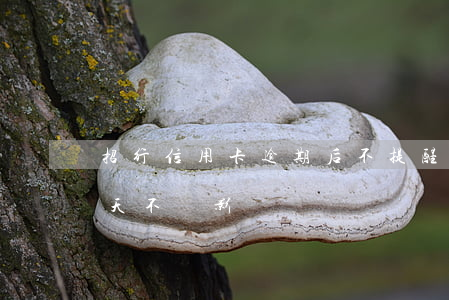 招行信用卡逾期后不提醒(招商信用卡逾期幾天不會影響)