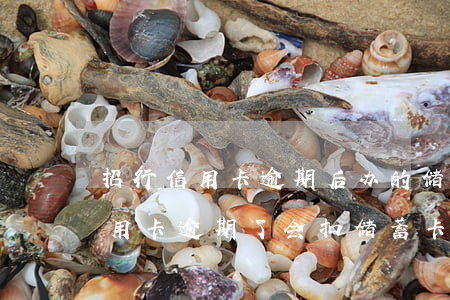 招行信用卡逾期后办的储蓄卡会扣(招行的信用卡逾期了会扣储蓄卡的钱吗)