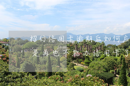 招行信用卡逾期后如何应对(招行逾期过是不是再也不能办信用卡了)