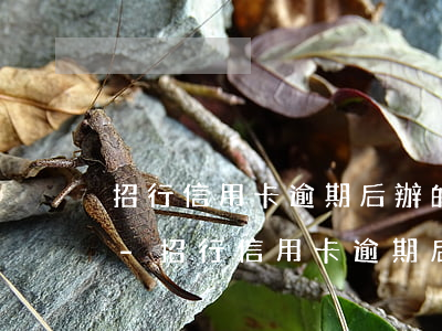 招行信用卡逾期后辦的儲蓄卡浦發(fā)-招行信用卡逾期后辦的儲蓄卡浦發(fā)卡能用嗎