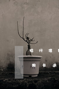 招行信用卡逾期后違約金是否該還-招行信用卡逾期后違約金是否該還了
