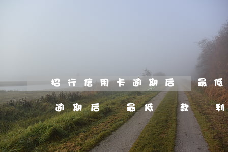 招行信用卡逾期后還最低還款嗎(招行信用卡逾期后還最低還款嗎利息多少)