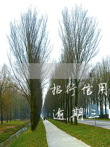 招行信用卡逾期后還最低還款額(招商銀行卡逾期三個月,還了最低款,非要還完全款怎么辦)