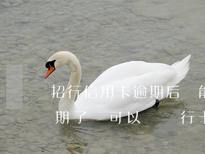 招行信用卡逾期后還能用(招商銀行信用卡逾期了還可以辦銀行卡嗎)