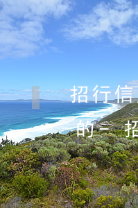 招行信用卡逾期后還能申請(qǐng)新的-招行信用卡逾期后還能申請(qǐng)新的信用卡嗎