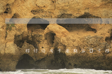 招行信用卡逾期后銷卡(招行信用卡注銷卡)