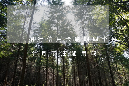 招行信用卡逾期四个月了(招行信用卡逾期四个月了还能用吗)