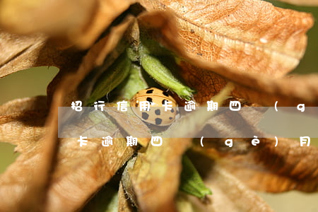 招行信用卡逾期四個(gè)月了(招行信用卡逾期四個(gè)月了還能用嗎)