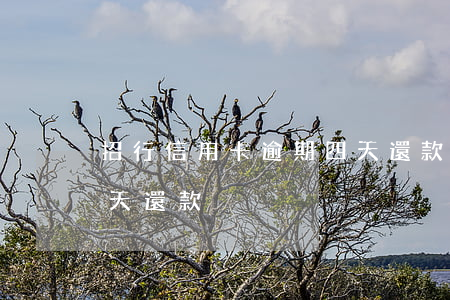 招行信用卡逾期四天還款(招行信用卡晚了4天還款)