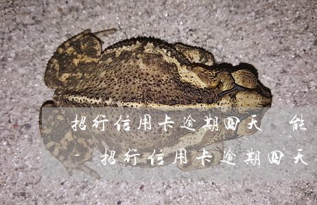 招行信用卡逾期四天還能還了立馬刷出來嗎-招行信用卡逾期四天還能還了立馬刷出來嗎