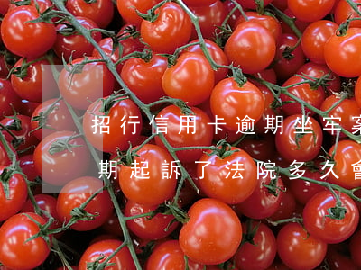 招行信用卡逾期坐牢案例(招商銀行信用卡逾期起訴了,法院多久會判)
