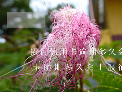 招行信用卡逾期多久会上报征信-招行信用卡逾期多久会上报征信报告