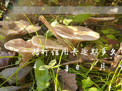 招行信用卡逾期多久可以分期 招商銀行逾期4個(gè)月還能申請(qǐng)個(gè)性化分期嗎
