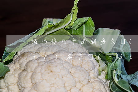 招行信用卡逾期多久會(huì)凍結(jié)名下財(cái)產(chǎn)-招行信用卡逾期多久會(huì)凍結(jié)名下財(cái)產(chǎn)呢