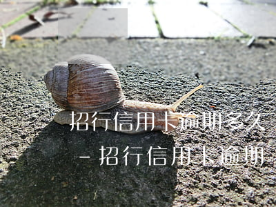 招行信用卡逾期多久會(huì)有影響嗎-招行 信用卡 逾期