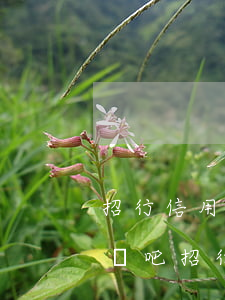 招行信用卡逾期多久會(huì)有影響嗎貼吧（招行信用卡逾期多久會(huì)有影響嗎）