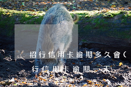 招行信用卡逾期多久會(huì)被催收(招行信用卡 逾期一天)