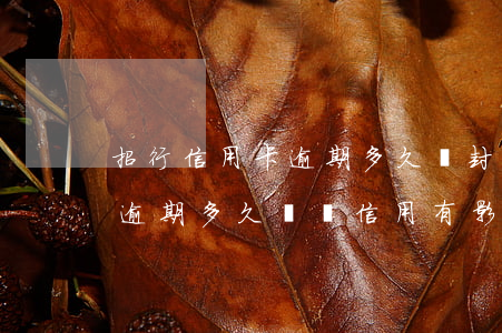 招行信用卡逾期多久會封卡(招商銀行信用卡逾期多久會對信用有影響)
