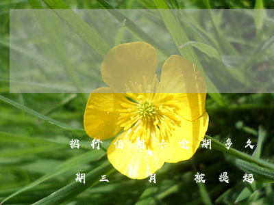 招行信用卡逾期多久會被起訴6(招商銀行逾期三個月會被提起訴訟嗎?)