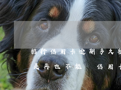 招行信用卡逾期多久被封-招行逾期過是不是再也不能辦信用卡了